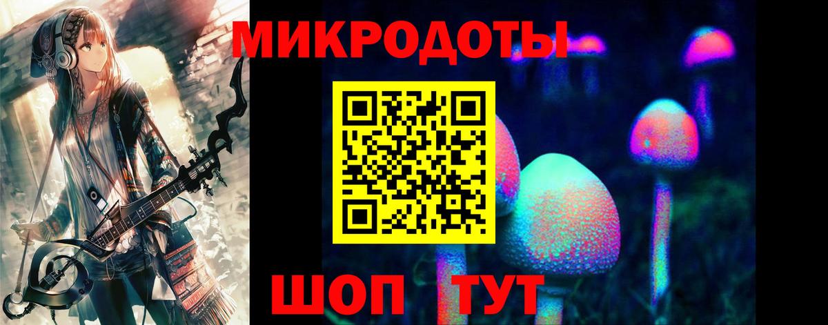 Галлюциногенные грибы мухоморы Киселёвск